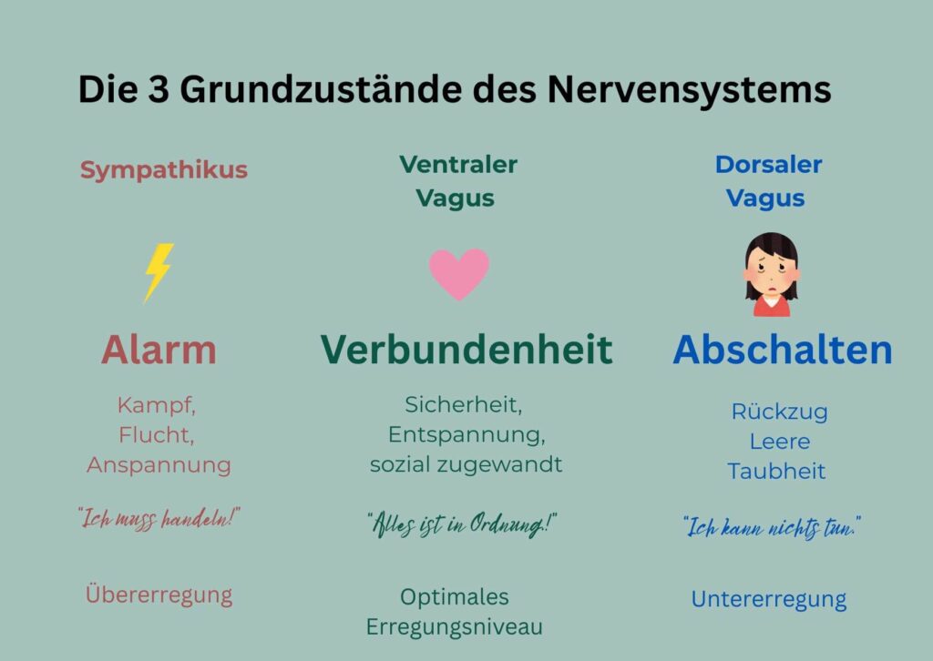 Die 3 Grundzustände des Nervensystems: Sympathikus, ventraler Vagus und dorsaler Vagus