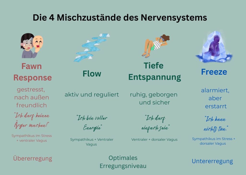 Die 4 Mischzustände des Nervensystems: Fawn Response, Flow, tiefe Entspannung, Freeze